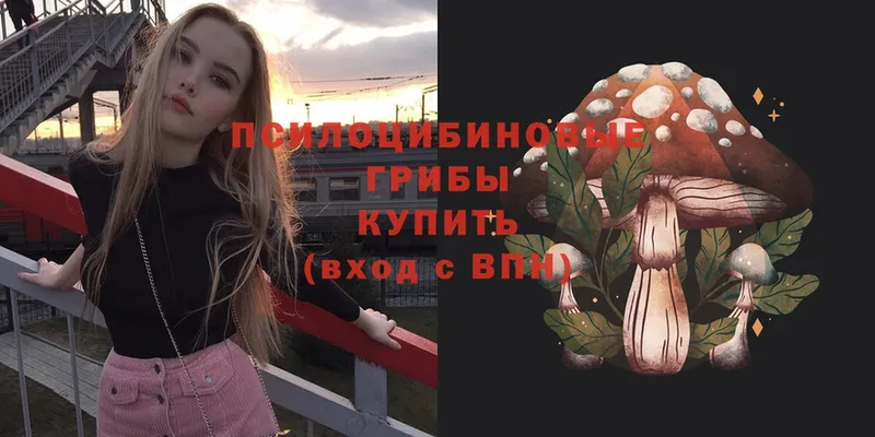 Галлюциногенные грибы MAGIC MUSHROOMS  hydra сайт  Камень-на-Оби  купить наркоту 